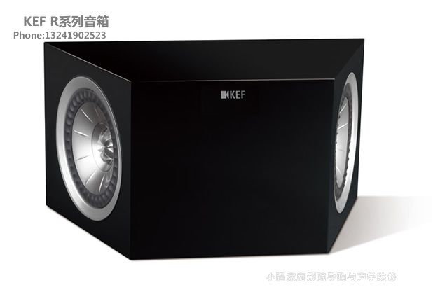 KEF R800ds