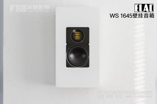 ELAC WS 1645ڒʽ