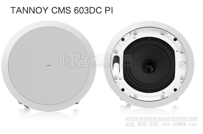  TANNOY CMS 603DC PIȫlͬSB