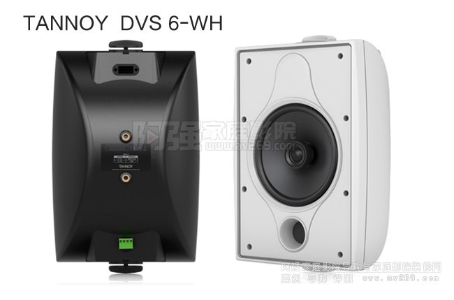  TANNOY  DVS 6-WHȫlȫ