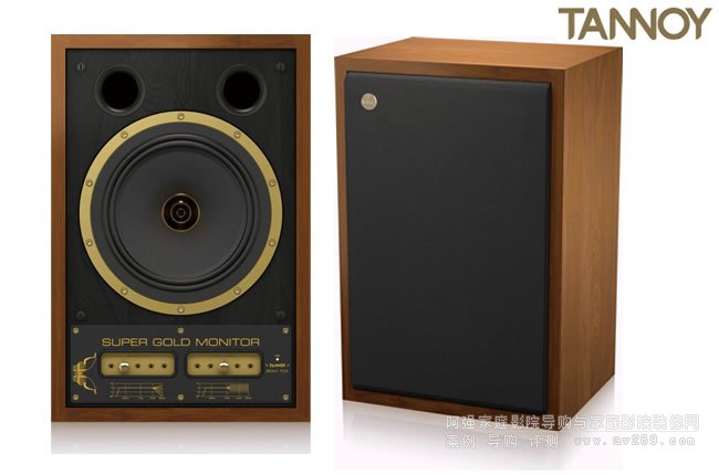 ӢTannoy Super Gold Monitor 10AO 