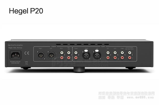 ڸ P20